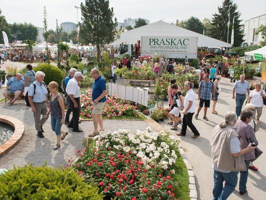 圖爾恩國際園藝博覽會,圖爾恩國際園藝博覽會現場，花園展現場