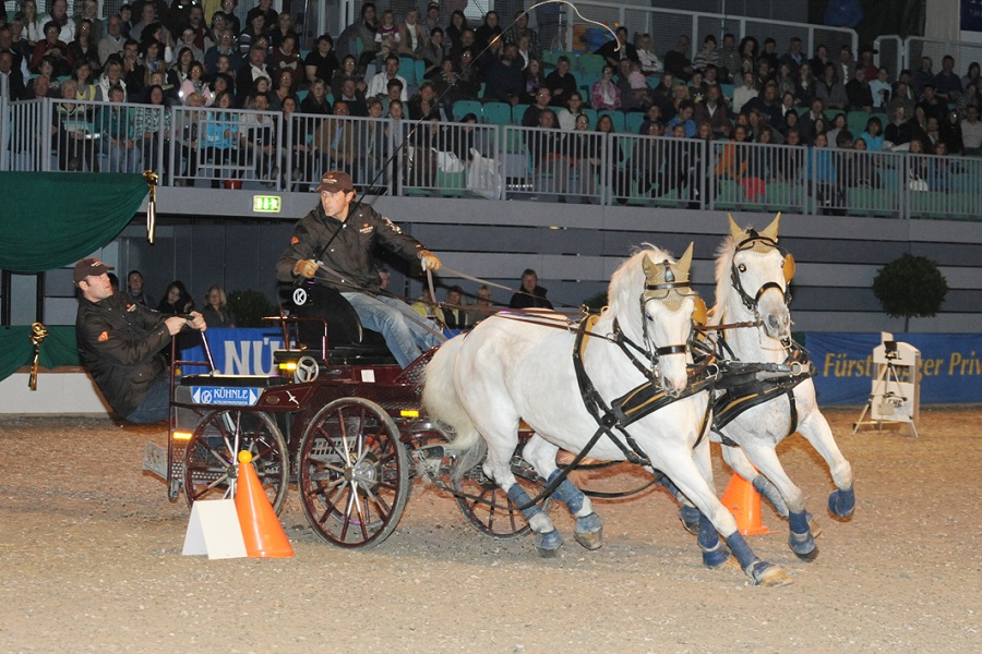 馬展，德國馬展，馬匹比賽