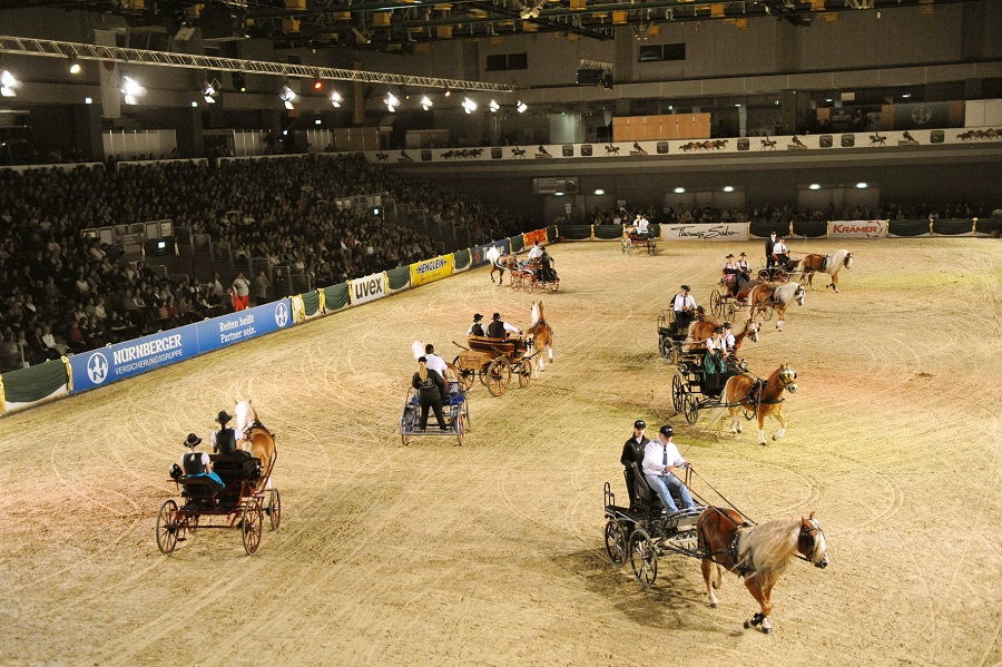 馬展，德國馬展，馬匹比賽